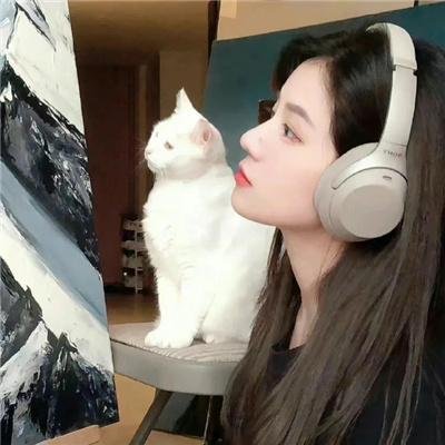 埃尔维斯